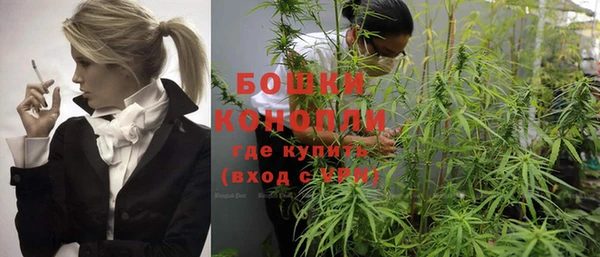 2c-b Вяземский