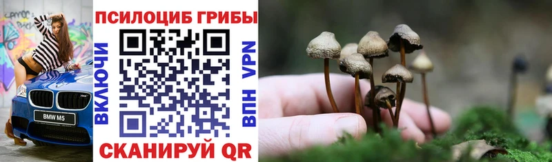 Псилоцибиновые грибы мухоморы  Купить закладки  Мураши 
