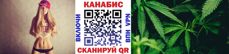 Купить закладки  Мураши  Конопля SATIVA & INDICA 